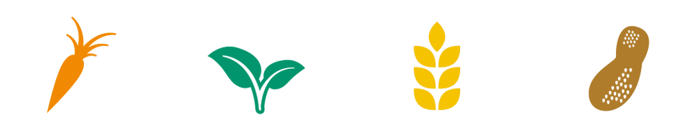 Allergen awareness icon